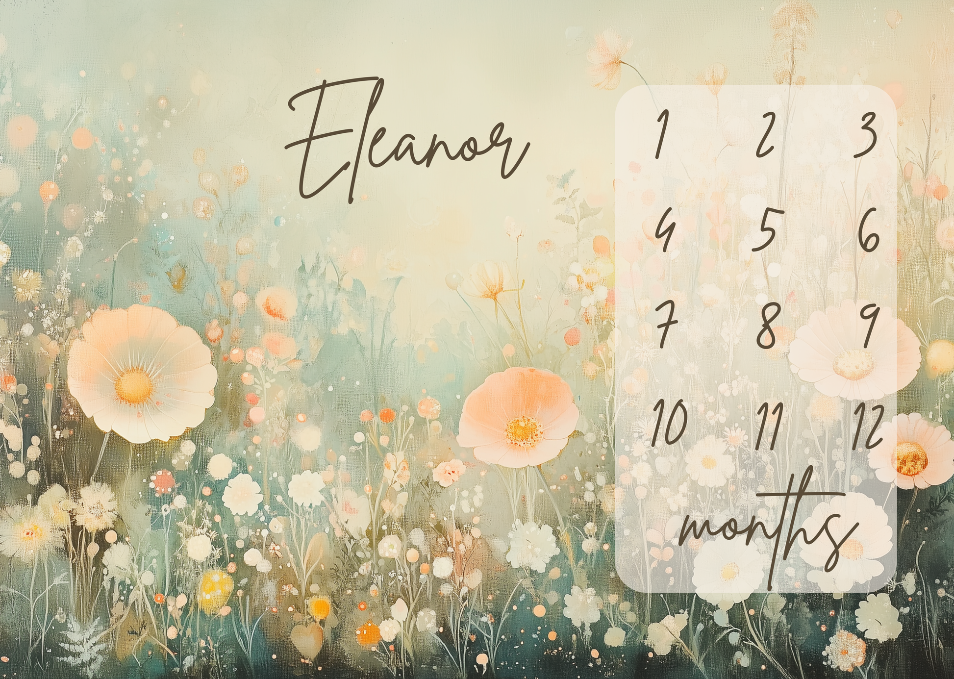 Personalized baby milestone blanket with soft wildflower meadow illustration for monthly baby milestone photos